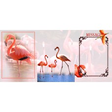TRI-INSPIRAZION GREETING CARD Flamingo Elegance